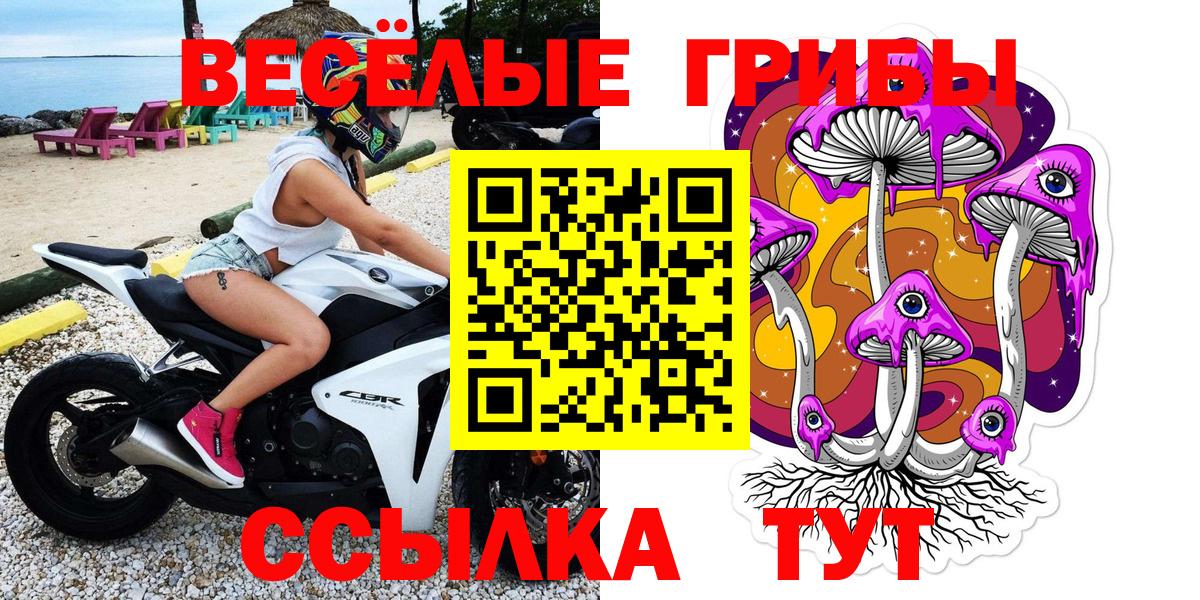 Псилоцибиновые грибы мухоморы  Вход с VPN  Вышний Волочёк  Псилоцибиновые грибы мухоморы 